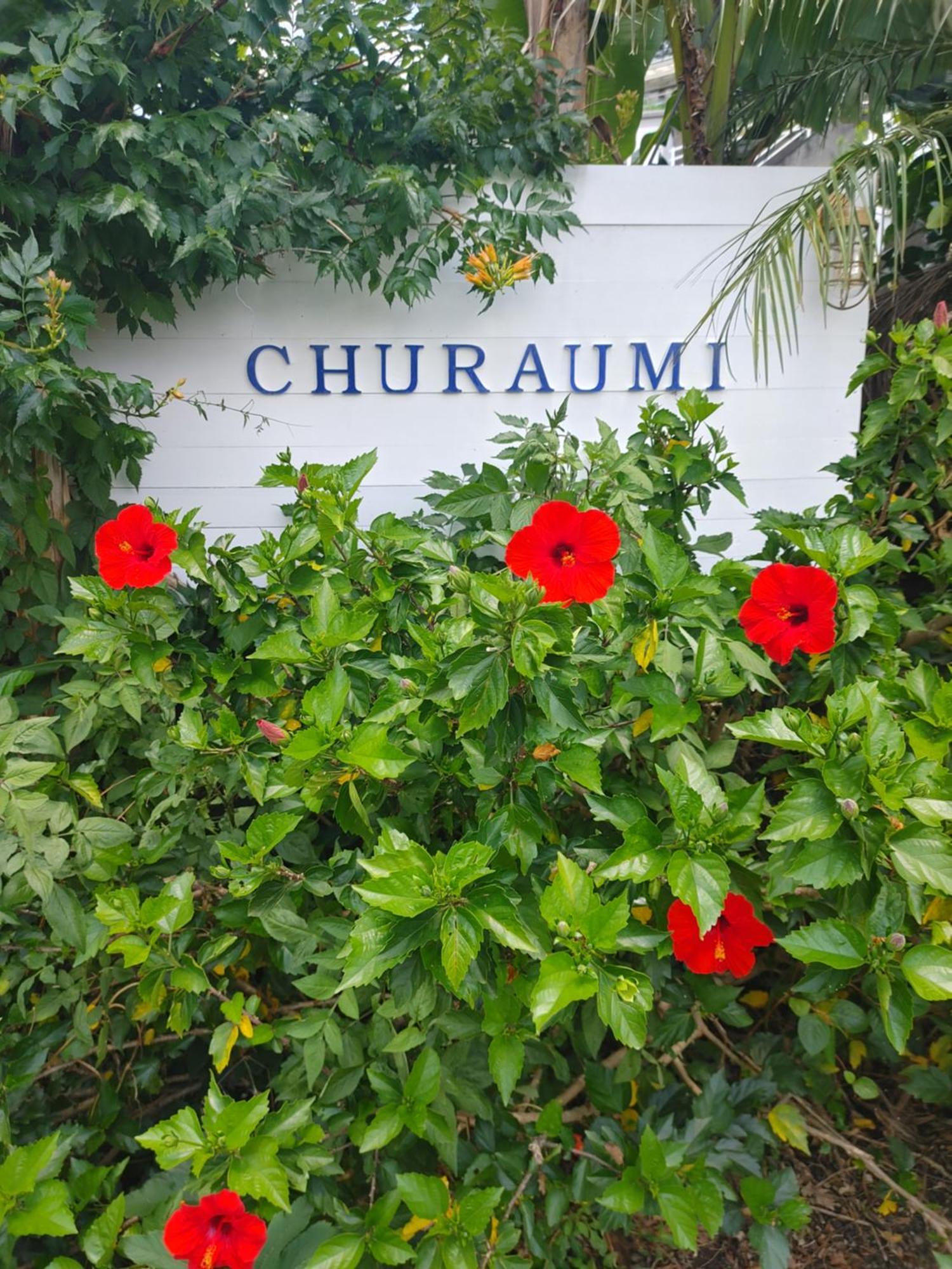 Guest House Churaumi Симода Экстерьер фото